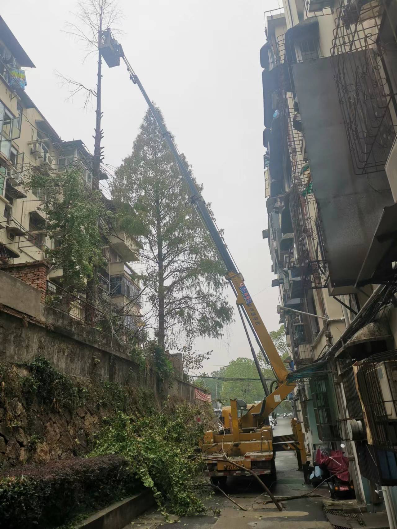 微信圖片_20221118153427.jpg 微信圖片_20221118153427.jpg